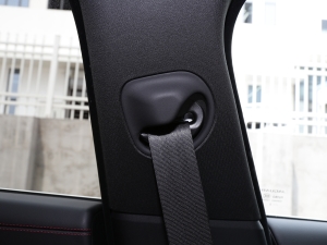 20222.0T P250 򌾫Ӣ\Ӱ g