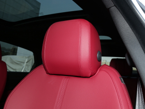 20222.0T P250 򌾫Ӣ\Ӱ g