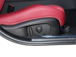 20222.0T P250 򌾫Ӣ\Ӱ g