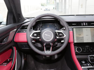 2022款2.0T P250 两驱精英运动版 方向盘