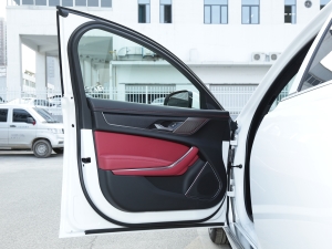 20222.0T P250 򌾫Ӣ\Ӱ {λ܇T