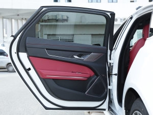 20222.0T P250 򌾫Ӣ\Ӱ ܇T