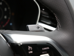 20222.0T P250 (q)Ӣ\Ӱ п؅^(q)