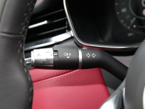 20222.0T P250 (q)Ӣ\Ӱ п؅^(q)