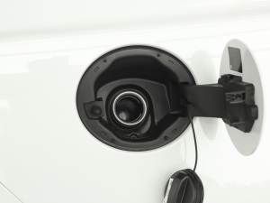 20212.0T 250PS ׺\Ӱ w