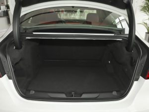 20212.0T 250PS ׺\Ӱ g