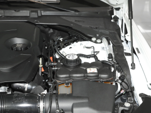 20212.0T 250PS ׺\Ӱ 