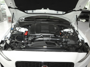 20212.0T 250PS ׺\Ӱ 