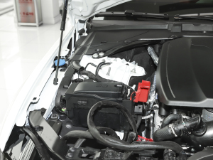 20212.0T 250PS ׺\Ӱ 