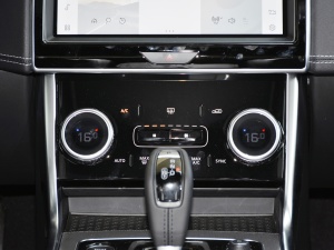 2021款2.0T 250PS R-DYNAMIC S进取运动版 空调调节