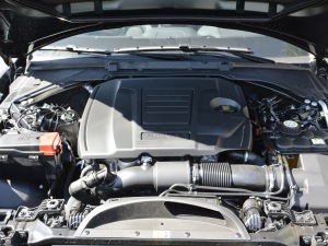 2021款2.0T 250PS R-DYNAMIC S进取运动版 其它