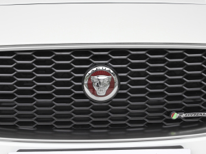 20212.0T 250PS R-DYNAMIC SMȡ\Ӱ ^