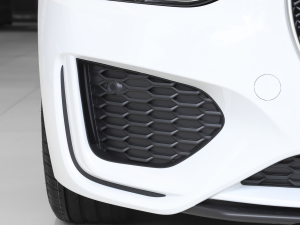 20212.0T 250PS R-DYNAMIC SM(jn)ȡ\(yn)Ӱ (x)(ji)^