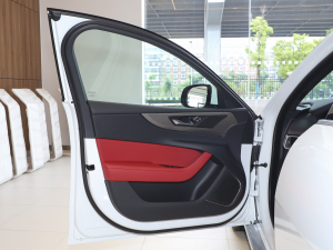 2021款2.0T 250PS R-DYNAMIC S进取运动版 驾驶位车门