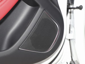 20212.0T 250PS R-DYNAMIC SM(jn)ȡ\(yn)(dng) g