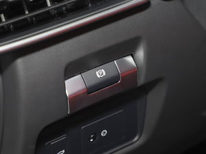 20212.0T 250PS R-DYNAMIC SM(jn)ȡ\(yn)(dng) v܇Ƅ(dng)