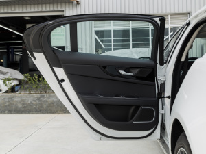 2021款2.0T 250PS S进取优雅版 左后车门