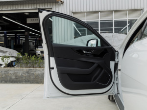 2021款2.0T 250PS S进取优雅版 驾驶位车门