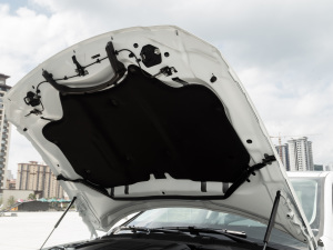 2021款2.0T 250PS S进取优雅版 发动机舱隔音棉