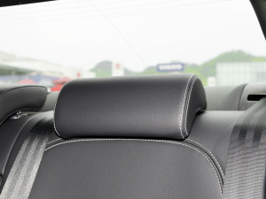 20212.0T 250PS R-DYNAMIC SEƼ\Ӱ  g