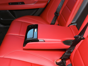 20222.0T 250PS R-DYNAMIC SMȡ\Ӱ 