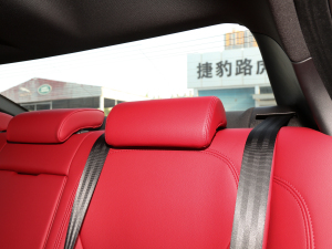 20222.0T 250PS R-DYNAMIC SMȡ\Ӱ g