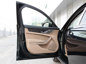 2022款2.0T P250 两驱尊享豪华版 驾驶位车门