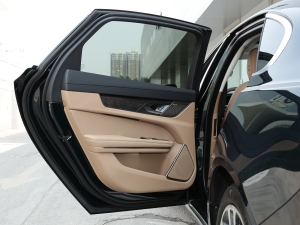 2022款2.0T P250 两驱尊享豪华版 左后车门