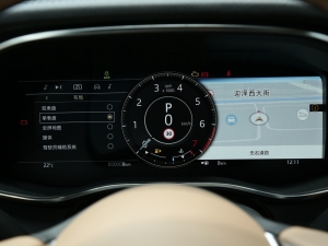 20222.0T P250 A п؅^