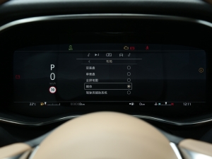 20222.0T P250 A п؅^