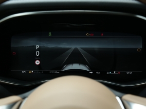 20222.0T P250 A п؅^