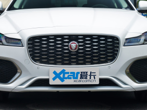 2022款2.0T P200 两驱精英豪华版 中网