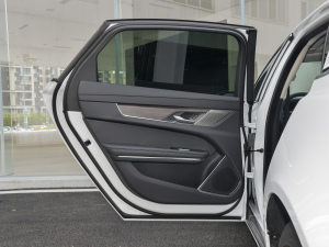 2022款2.0T P200 两驱精英豪华版 左后车门