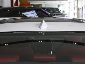 20232.0T 250PS R-DYNAMIC SMȡ\Ӱ (ji)^