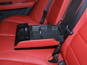 20232.0T 250PS R-DYNAMIC SMȡ\Ӱ g