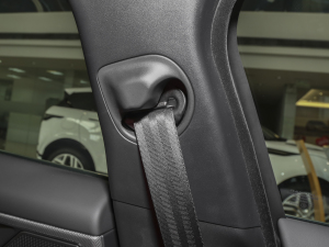 20232.0T 250PS R-DYNAMIC SMȡ\Ӱ g