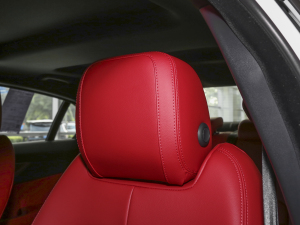 20232.0T 250PS R-DYNAMIC SMȡ\Ӱ g