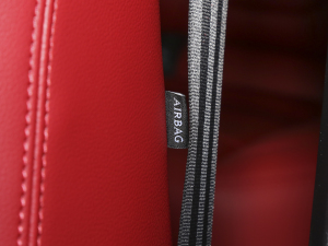 20232.0T 250PS R-DYNAMIC SMȡ\Ӱ п؅^(q)