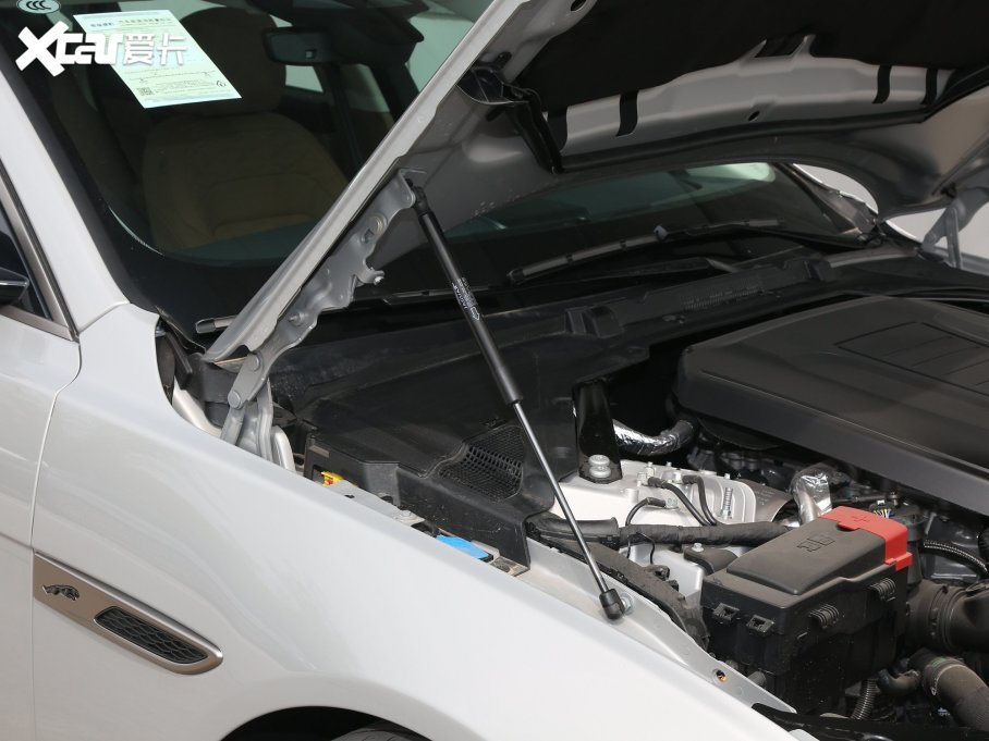 2023ݱXFL 2.0T P250 A̽