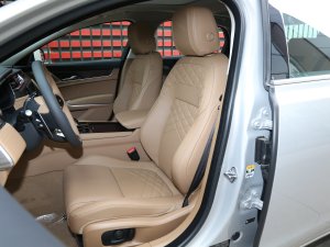 2023款2.0T P250 两驱尊享豪华鎏金版 主驾驶座椅