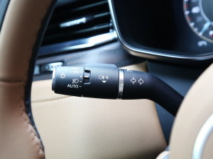 20232.0T P250 A̽ п؅^