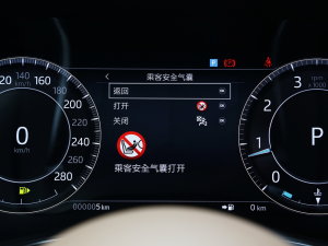 20232.0T P250 A̽ п؅^