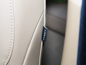 20232.0T P250 A̽ п؅^