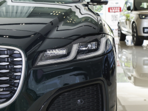 20232.0T P250 򌾫Ӣ\Ӱ ^