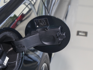 20232.0T P250 򌾫Ӣ\Ӱ ^