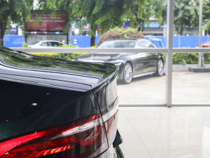 20232.0T P250 򌾫Ӣ\Ӱ ^