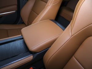 20232.0T P250 򌾫Ӣ\Ӱ 