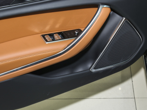 20232.0T P250 򌾫Ӣ\Ӱ ǰTg