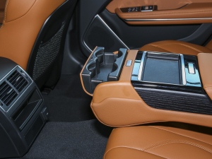 20232.0T P250 򌾫Ӣ\Ӱ ֹ