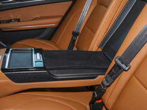 20232.0T P250 򌾫Ӣ\Ӱ g